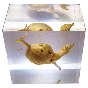 透明水晶樹(shù)脂工藝品特殊工藝制作珍品擺件